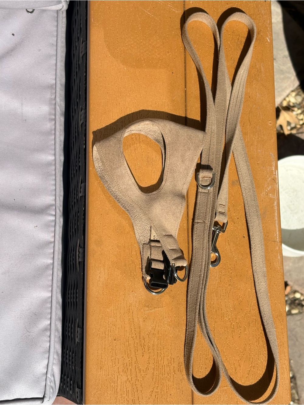 Susan Lanci designs xs 5ft leash set